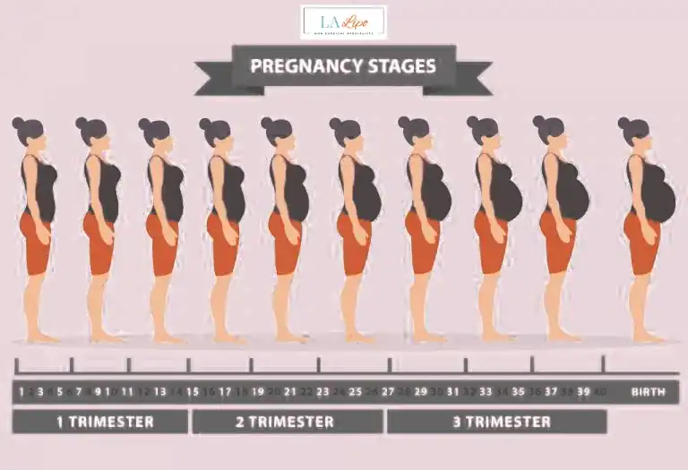 First Trimester (Weeks 1–12): Early Changes You Might Not Notice Leicestershire